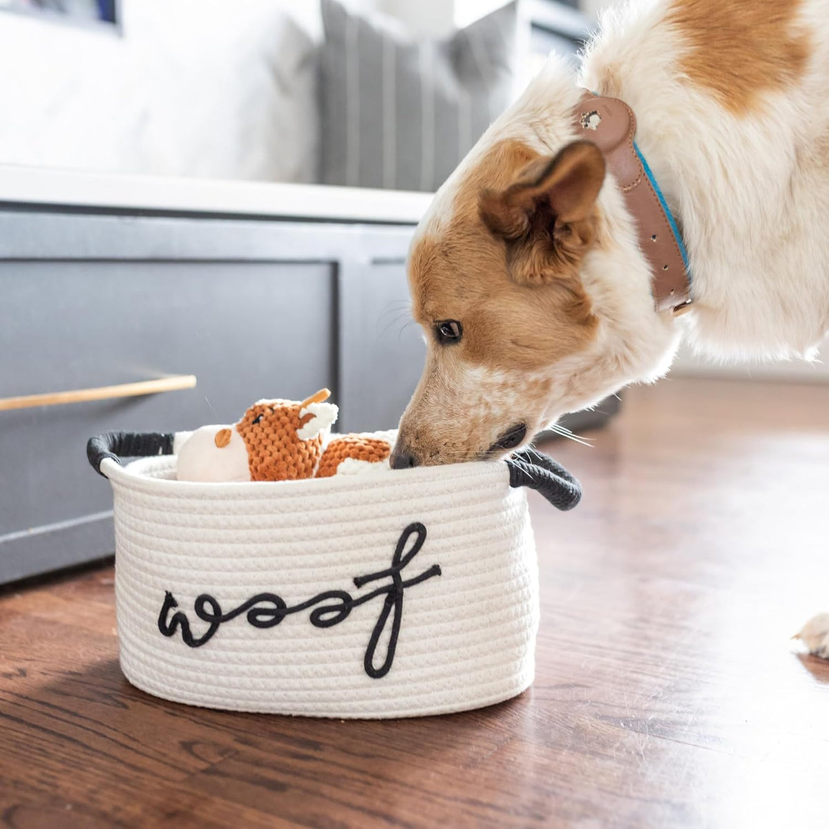 New Puppy Gift Basket - Premium Puppy Starter Kit and Dog Gift Basket | Includes Dog Toys - Perfect Doggie Birthday Gifts - Puppy Necessities with Pet Toy Basket