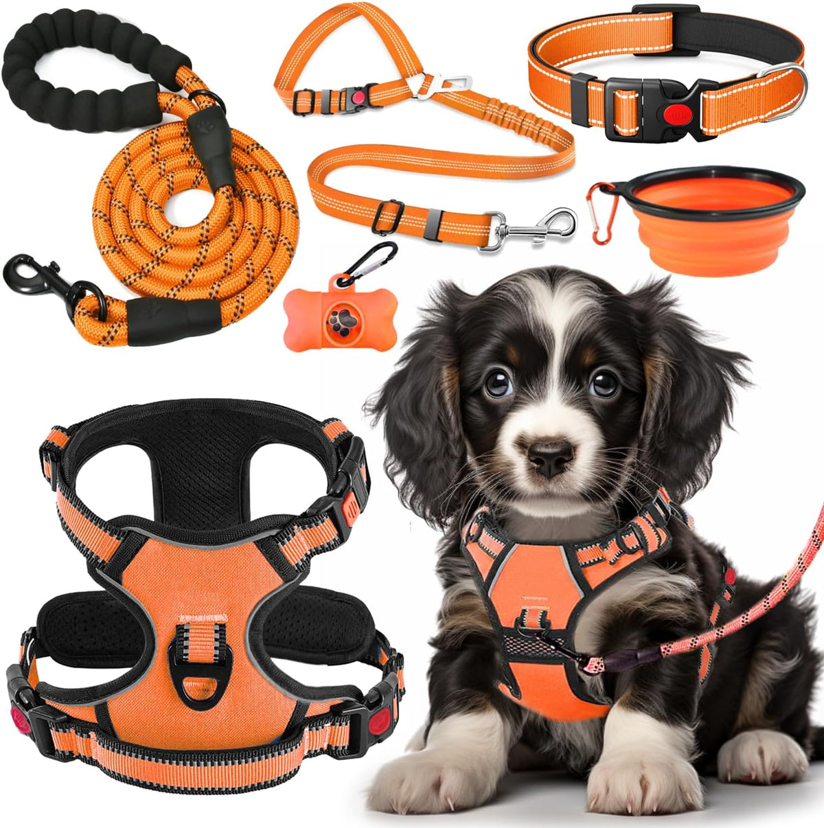 LOBEVE No Pull Dog Harness, Collar & Leash Set with Travel Accessories | Includes Dog Seat Belt, Collapsible Bowls & Poop Bag Dispenser. Ideal for Training, Walking, Hiking. Fits Small to Large Dogs