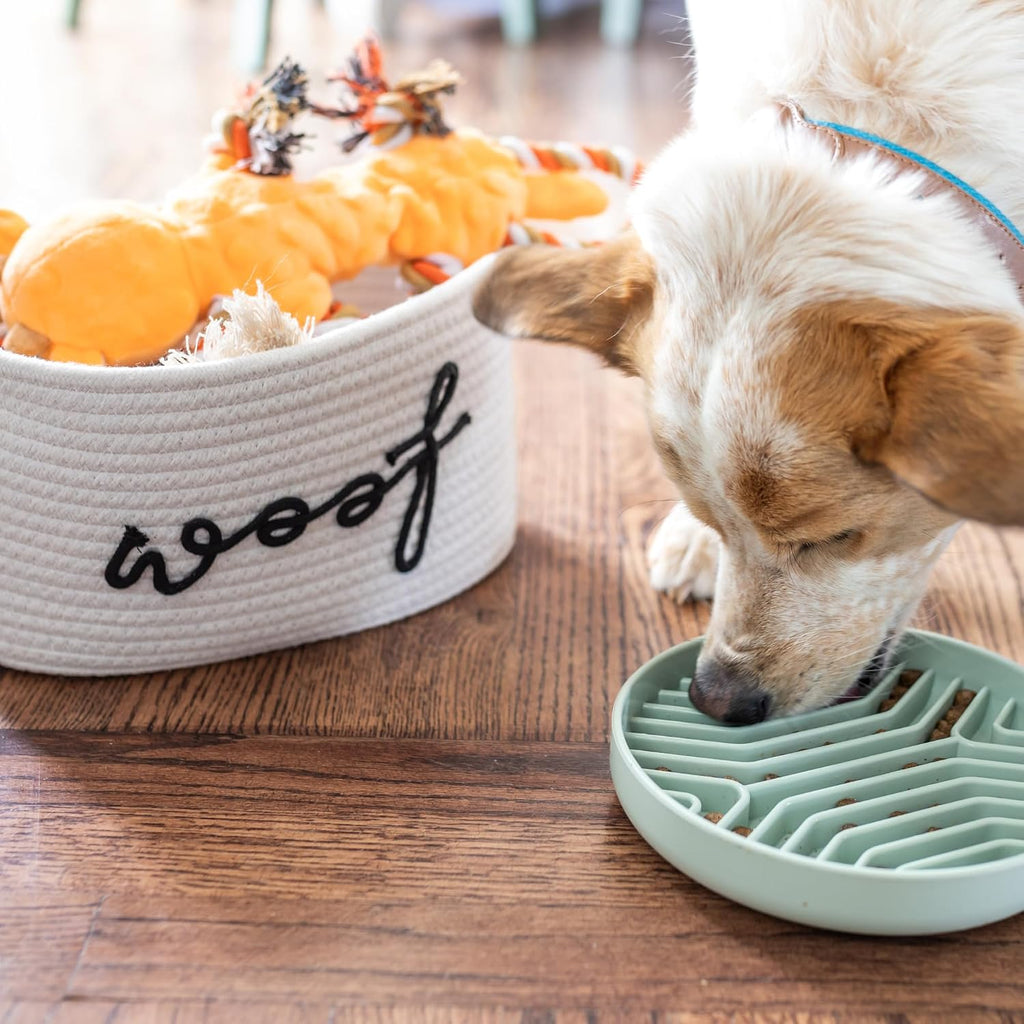 New Puppy Gift Basket - Premium Puppy Starter Kit and Dog Gift Basket | Includes Dog Toys - Perfect Doggie Birthday Gifts - Puppy Necessities with Pet Toy Basket