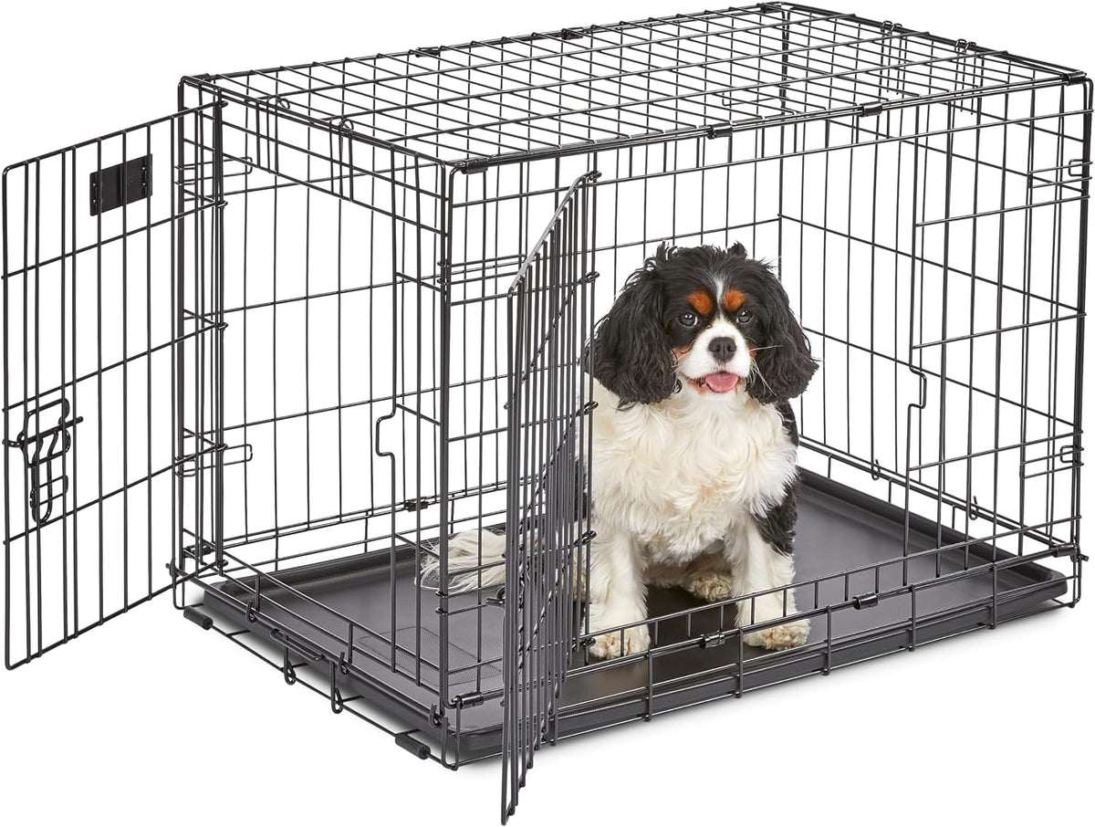 Midwest 24-Inch Single Door iCrate, for Small Breeds, 12-20 lbs | Folding Dog Crate with Divider Panel, Leak-Proof Tray & Secure Latch, Portable, Durable & Easy to Assemble