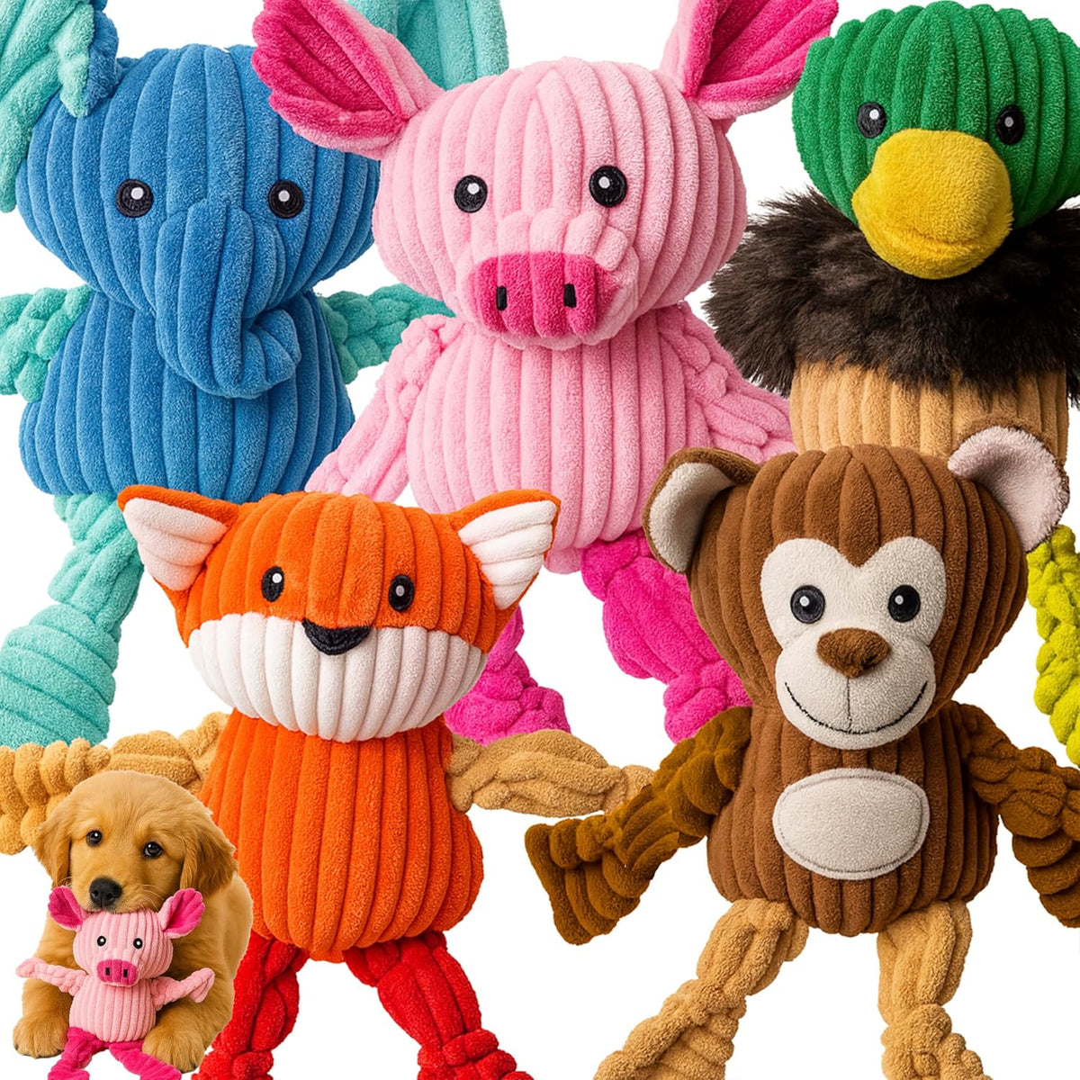 Jalousie Plush Toys Assortment Value Bundle Puppy Pet Mutt Squeak Toy for Medium Large Dogs (5 Pack Knotted)
