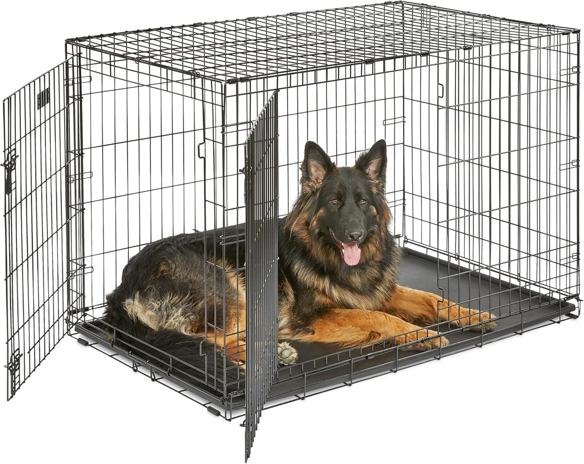 Midwest 24-Inch Single Door iCrate, for Small Breeds, 12-20 lbs | Folding Dog Crate with Divider Panel, Leak-Proof Tray & Secure Latch, Portable, Durable & Easy to Assemble