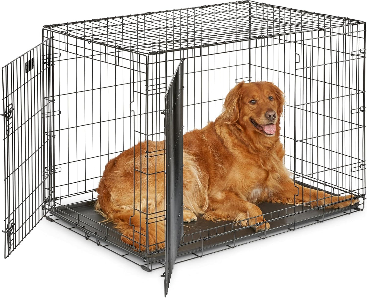 Midwest 30-Inch Single Door iCrate, for Medium Breeds, 21-40 lbs | Folding Dog Crate with Divider Panel, Leak-Proof Tray & Secure Latch, Portable, Durable & Easy to Assemble