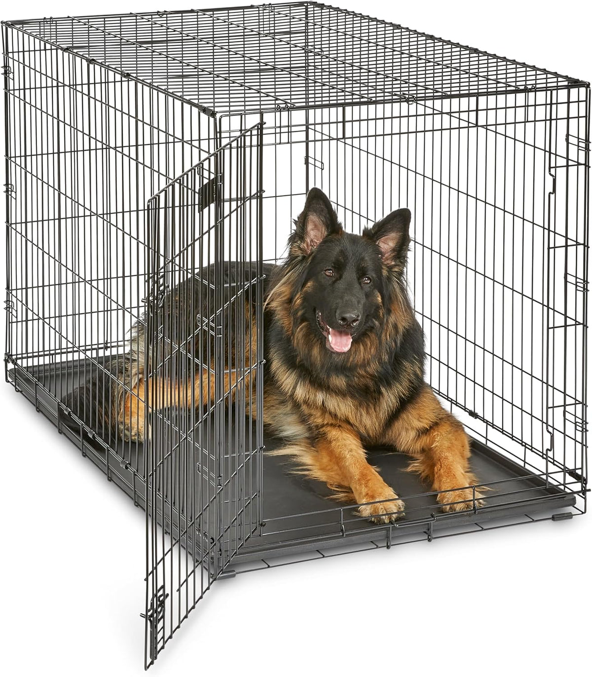 Midwest 24-Inch Single Door iCrate, for Small Breeds, 12-20 lbs | Folding Dog Crate with Divider Panel, Leak-Proof Tray & Secure Latch, Portable, Durable & Easy to Assemble