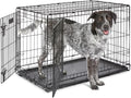 Midwest 30-Inch Single Door iCrate, for Medium Breeds, 21-40 lbs | Folding Dog Crate with Divider Panel, Leak-Proof Tray & Secure Latch, Portable, Durable & Easy to Assemble