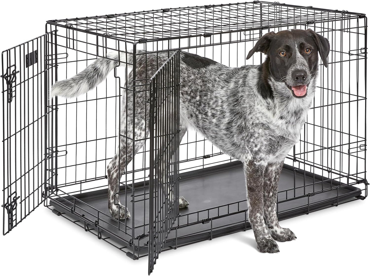 Midwest 30-Inch Single Door iCrate, for Medium Breeds, 21-40 lbs | Folding Dog Crate with Divider Panel, Leak-Proof Tray & Secure Latch, Portable, Durable & Easy to Assemble