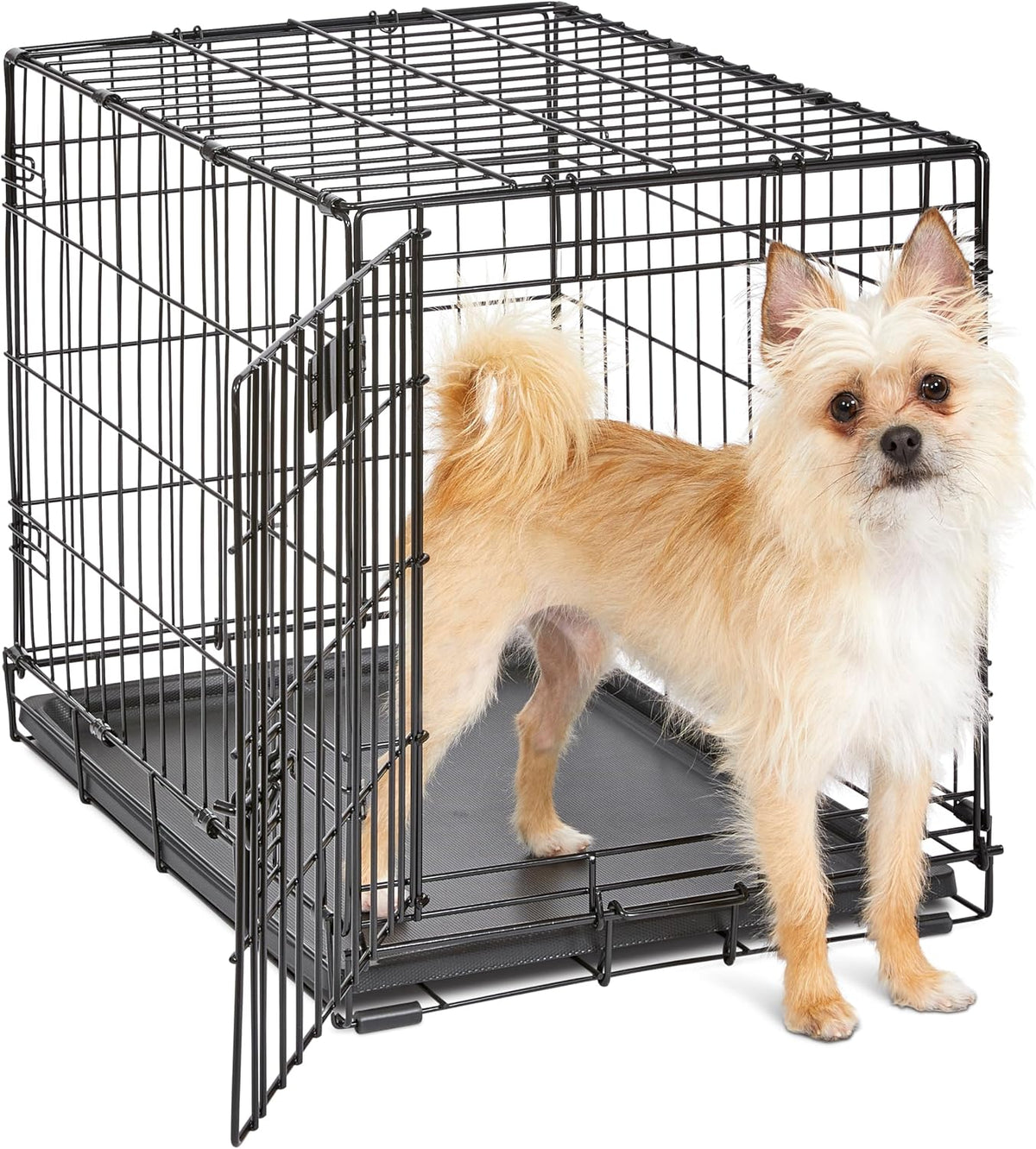 Midwest 24-Inch Single Door iCrate, for Small Breeds, 12-20 lbs | Folding Dog Crate with Divider Panel, Leak-Proof Tray & Secure Latch, Portable, Durable & Easy to Assemble