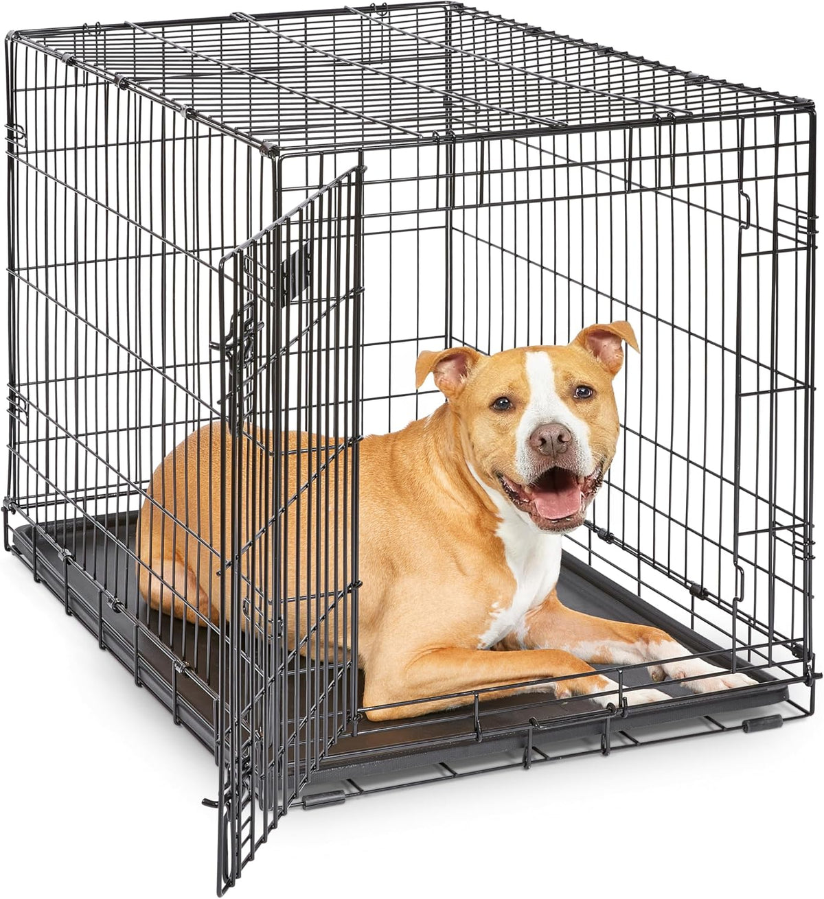 Midwest 30-Inch Single Door iCrate, for Medium Breeds, 21-40 lbs | Folding Dog Crate with Divider Panel, Leak-Proof Tray & Secure Latch, Portable, Durable & Easy to Assemble