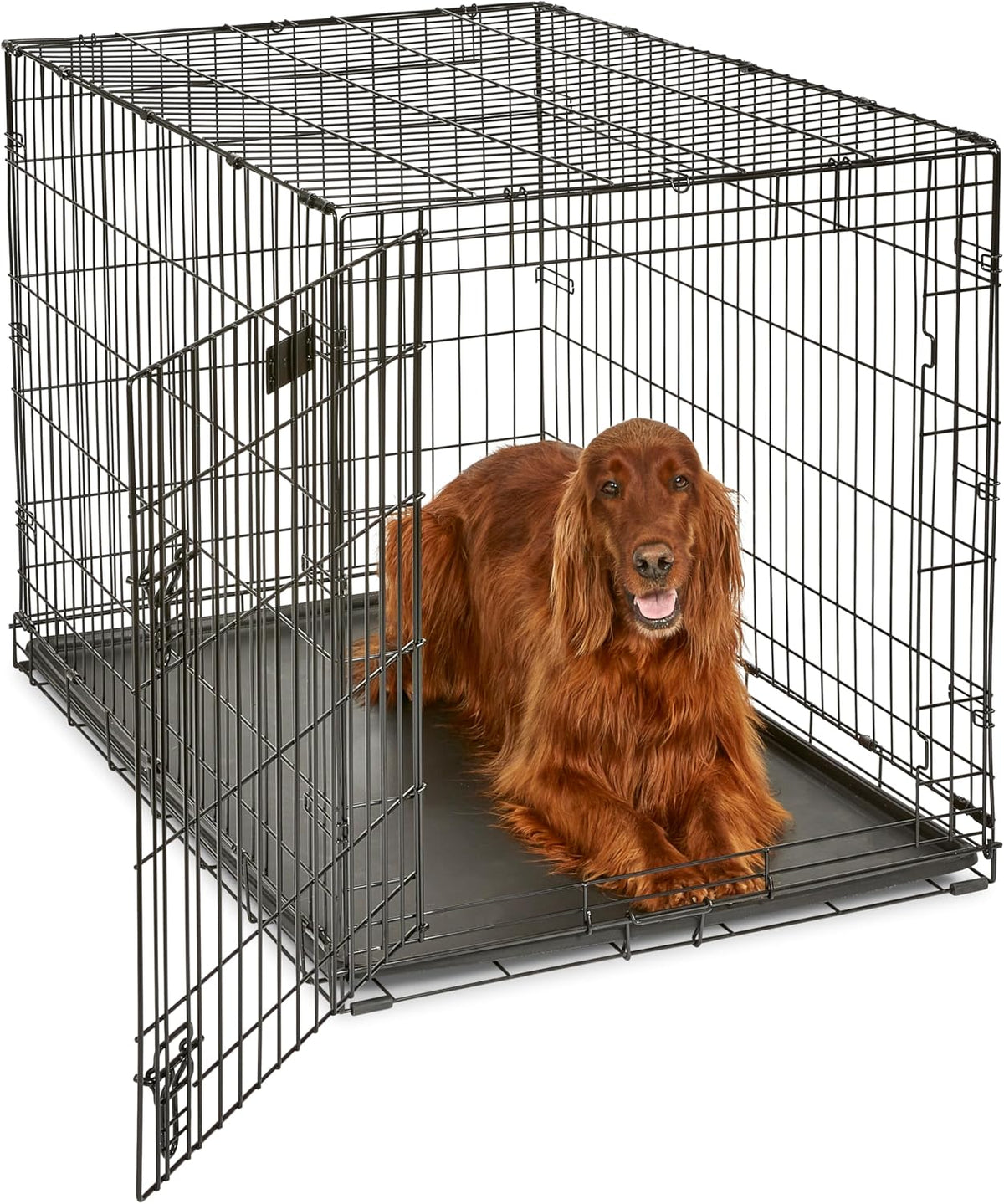 Midwest 30-Inch Single Door iCrate, for Medium Breeds, 21-40 lbs | Folding Dog Crate with Divider Panel, Leak-Proof Tray & Secure Latch, Portable, Durable & Easy to Assemble