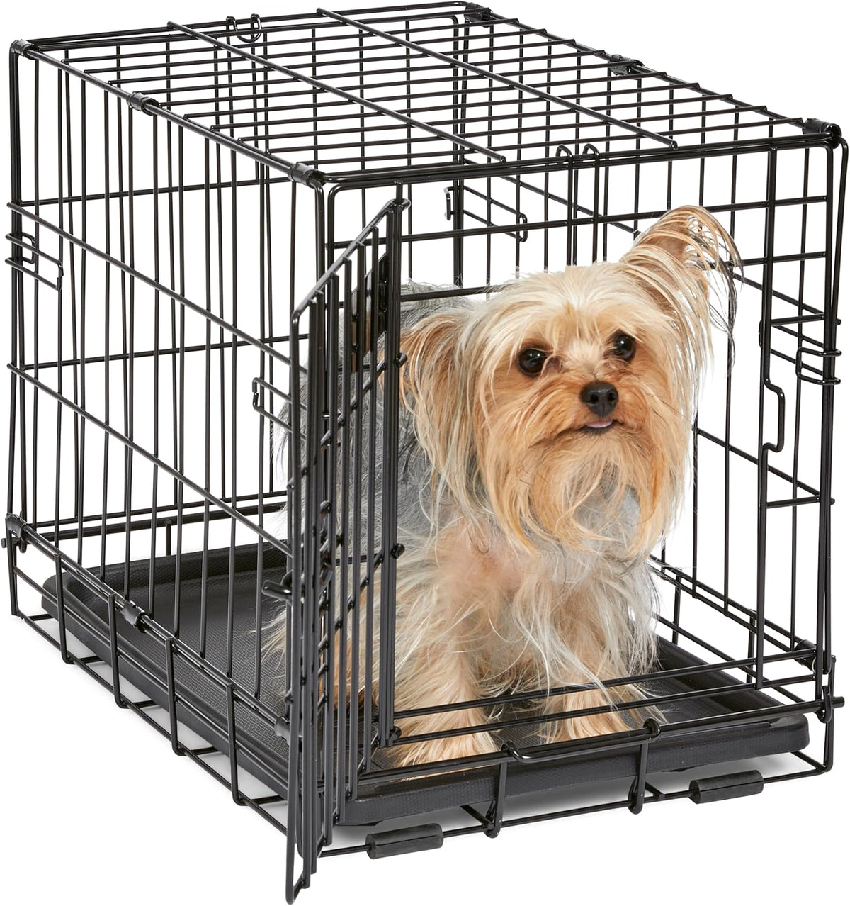 Midwest 24-Inch Single Door iCrate, for Small Breeds, 12-20 lbs | Folding Dog Crate with Divider Panel, Leak-Proof Tray & Secure Latch, Portable, Durable & Easy to Assemble