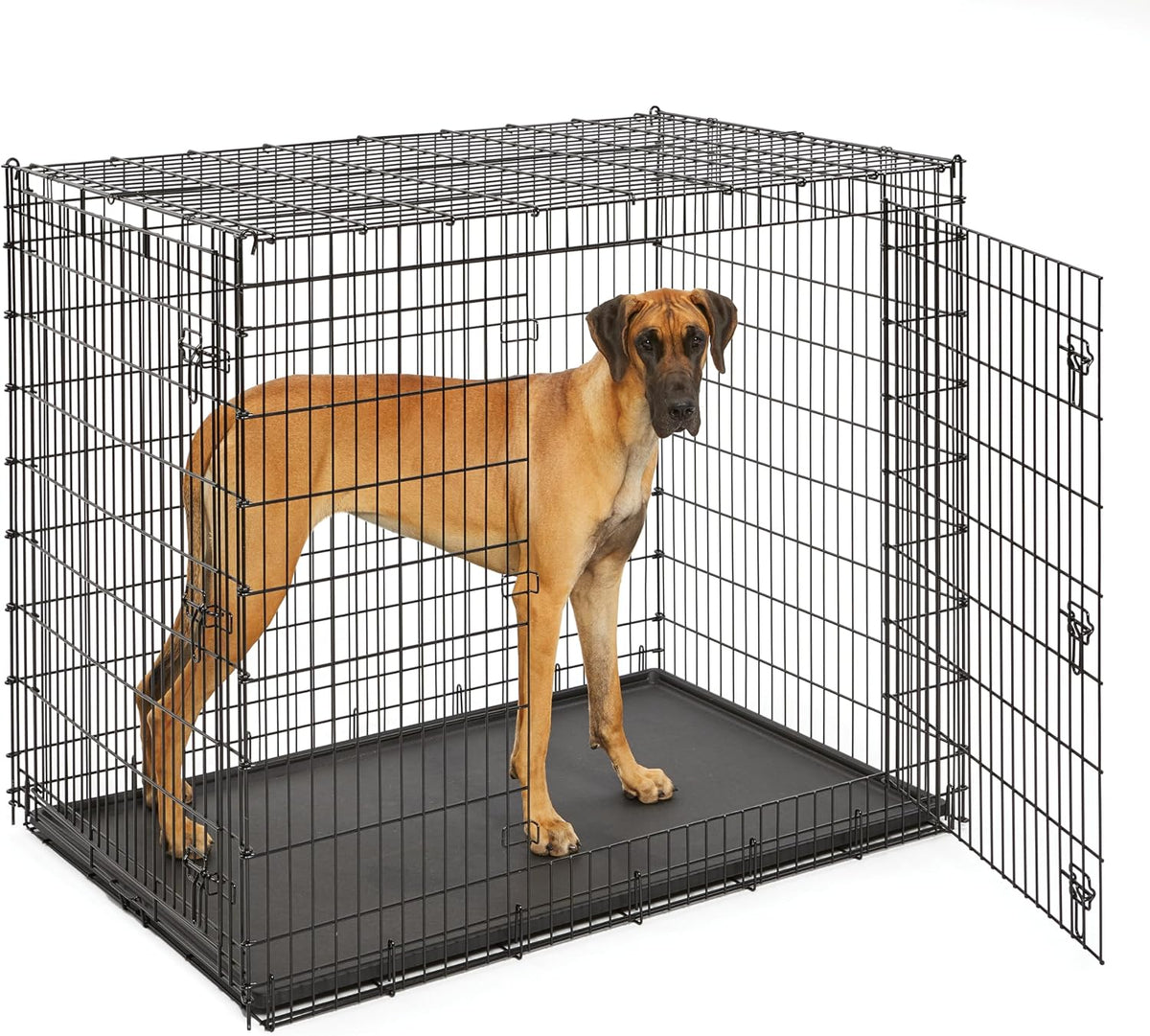 Solutions by Midwest 54-Inch Single Door Crate, Giant Breed Dogs, 100+ lbs | Dog Crate with Leak-Proof Tray & Secure Latches, Durable Drop Pin Construction
